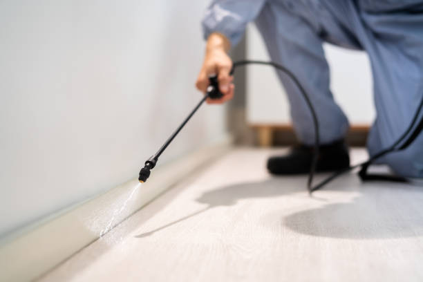 Licensed Termite Control service in King City, CA - Nex Pest Control