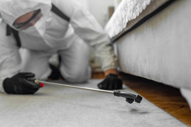 Professional Termite Control technician working in King City, CA