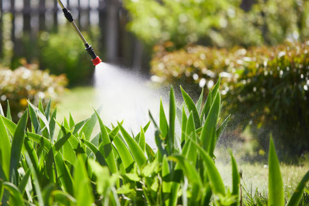 24/7 Emergency Termite Control experts in King City, CA